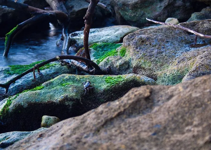 Style Place 3* Kiten (Burgas)