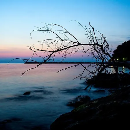 Style Place Guest house 3*