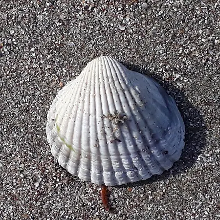 Style Place Guest house 3*