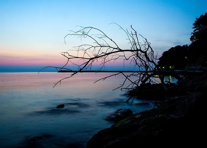 Style Place Maison d'hôtes 3*