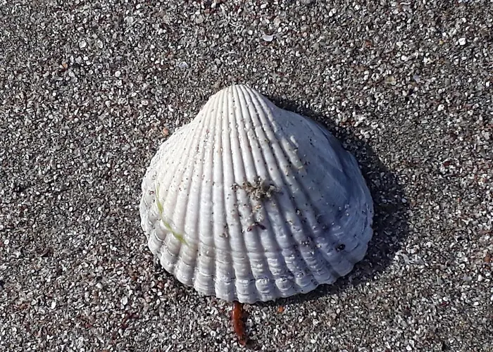 Style Place Maison d'hôtes 3*